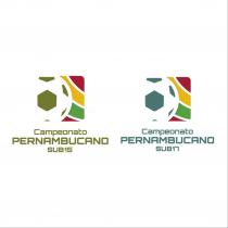 FPF divulga regulamentos e tabelas do Pernambucano Sub15 e Sub17 2025
